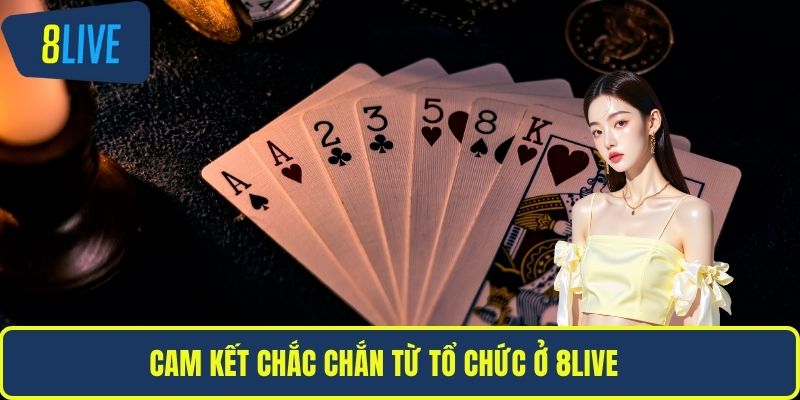 Chơi Có Trách Nhiệm Cam kết chắc chắn từ tổ chức ở 8LIVE